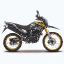 DM 300-02.webp