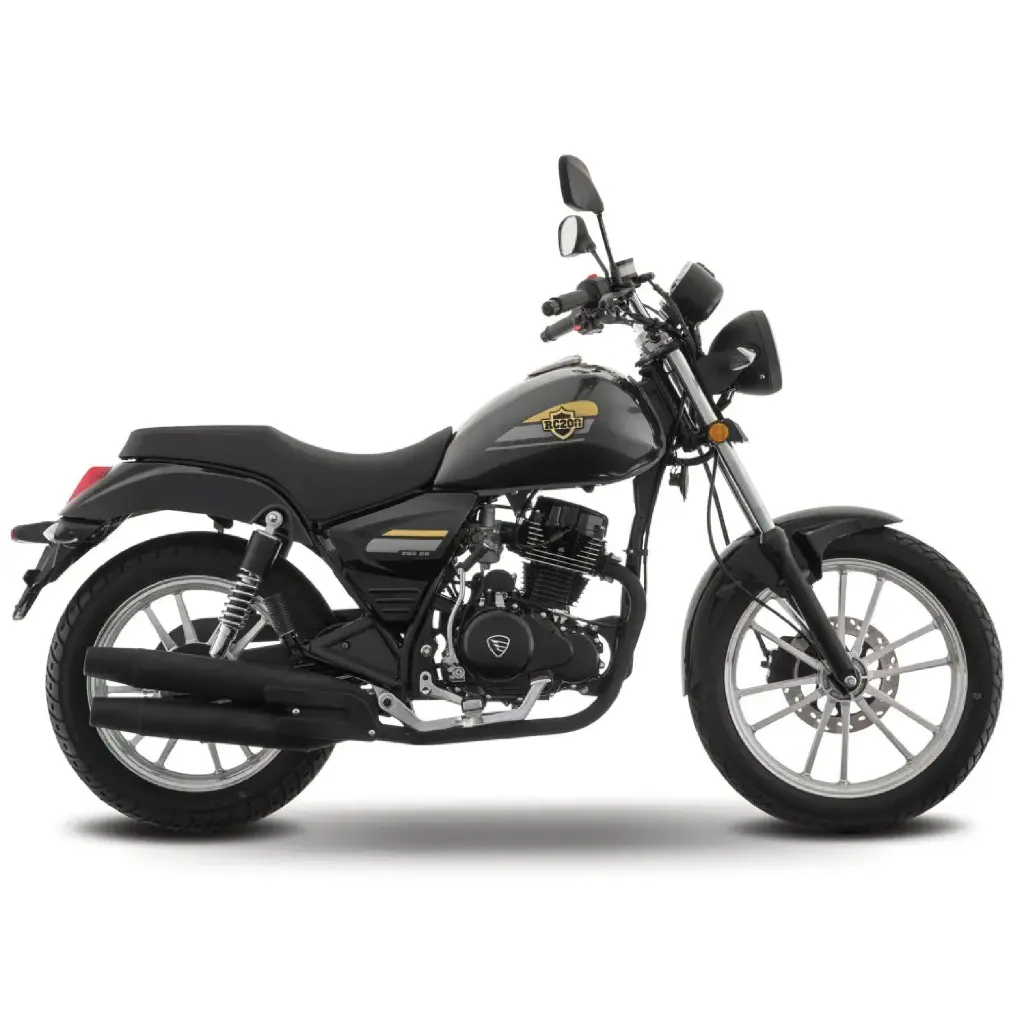 RC 200 GRIS-02.webp
