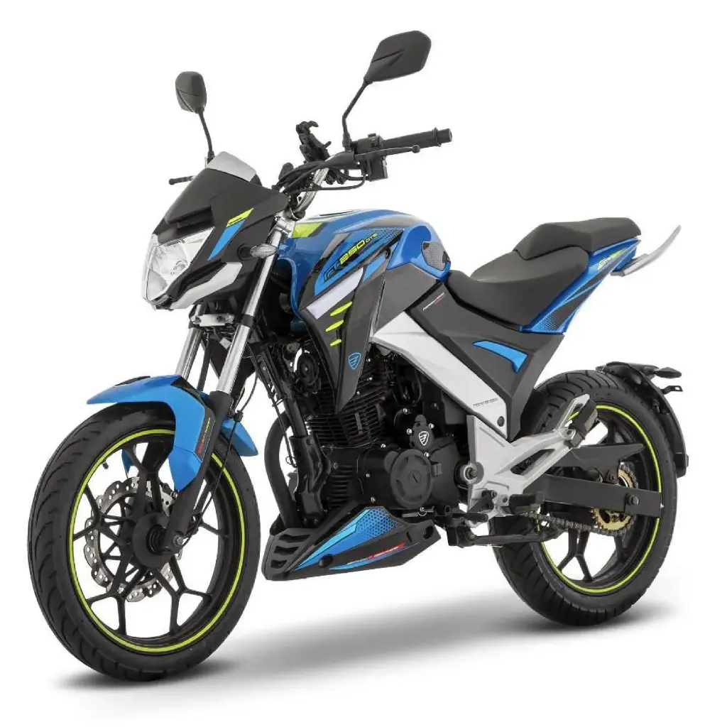 FT250 GTS-03.webp