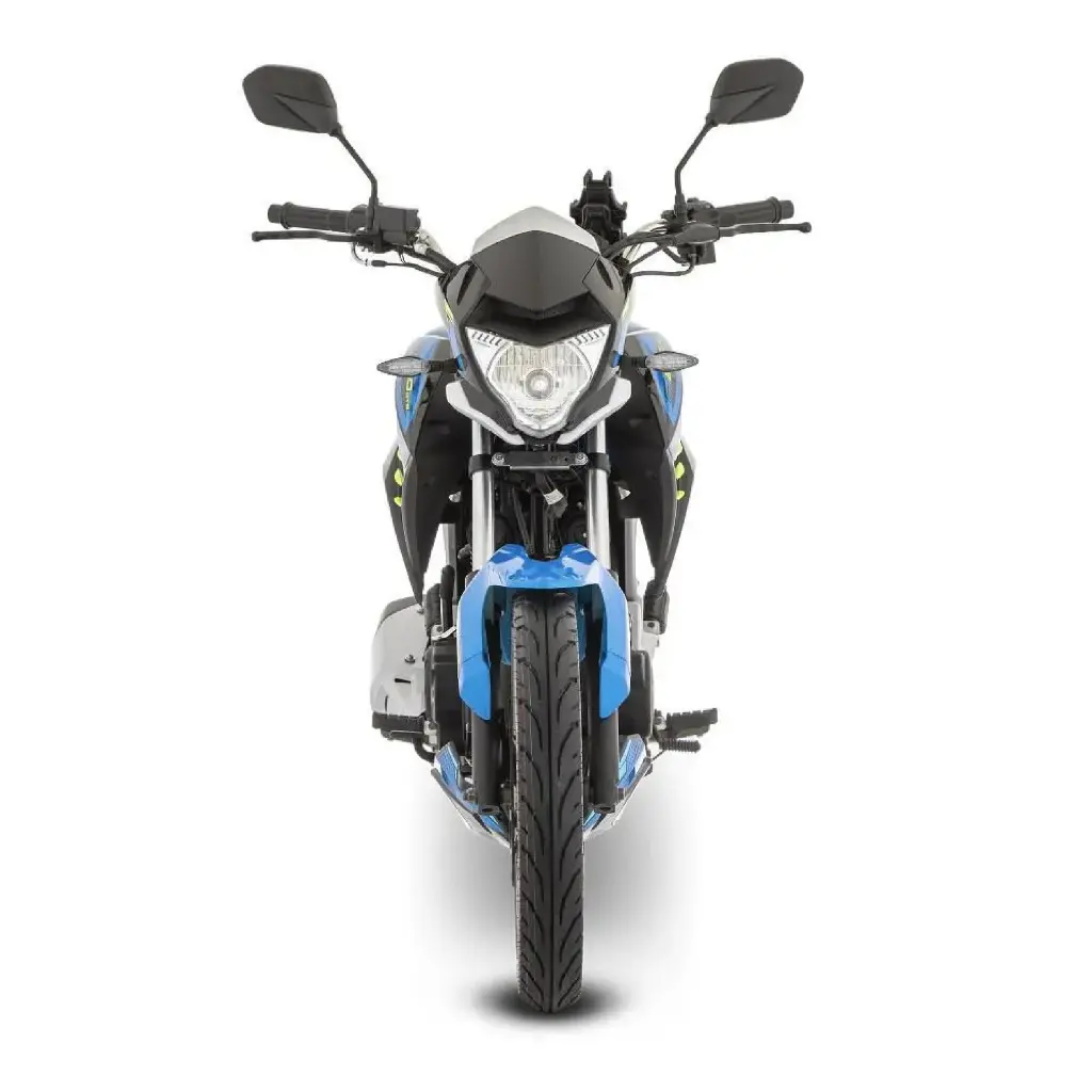 FT250 GTS-04.webp