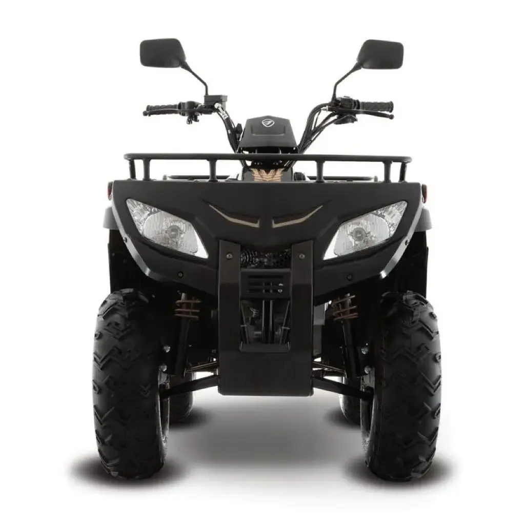 ATV250-02.webp