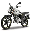 FT 150 GTS-05.webp