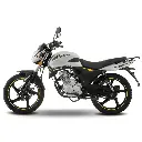 FT 150 GTS-04.webp