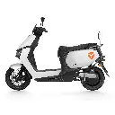 T60-03.webp