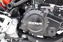 DSC07012(1).webp