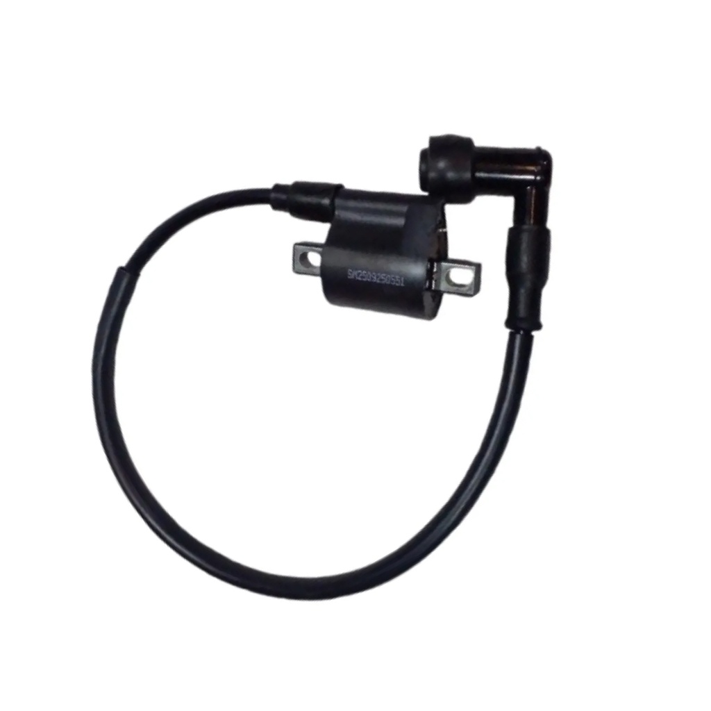 BOBINA DE IGNICION RD2.5