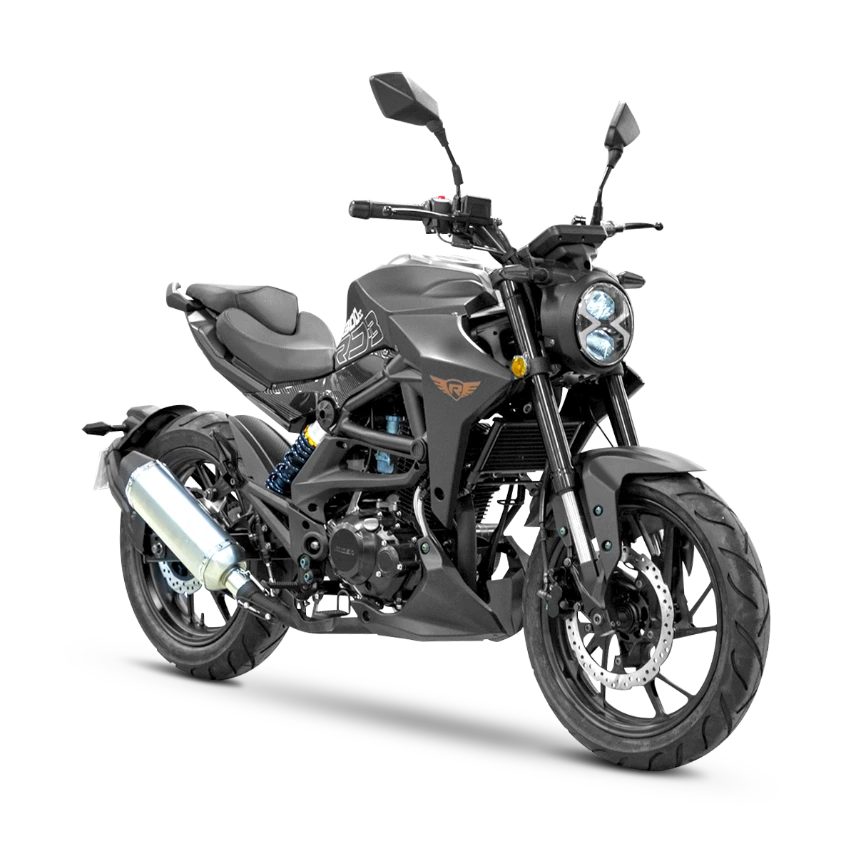 RD-3 300 (NEGRO)