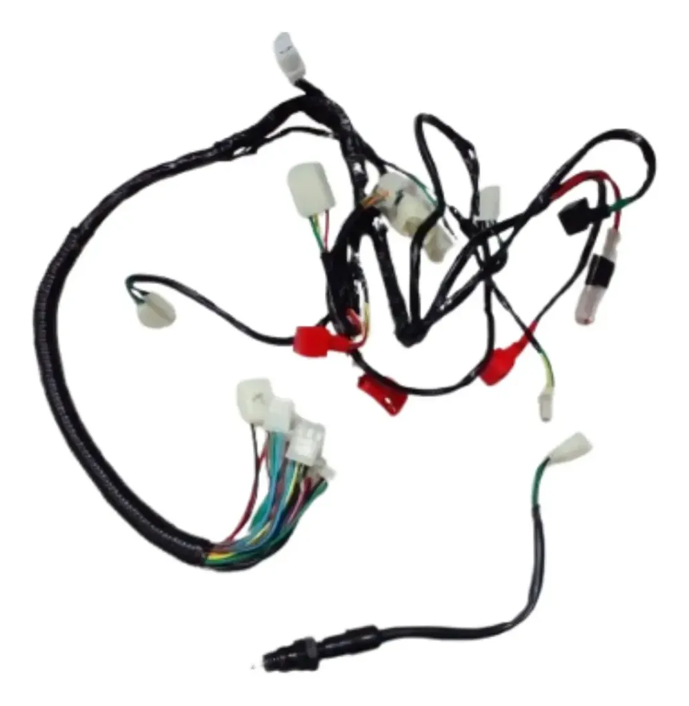 [UD1-125-F18-06] ARNES