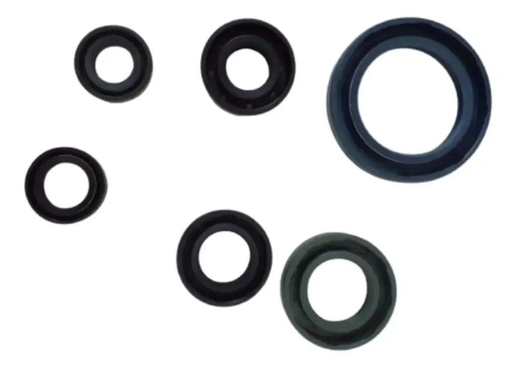 [176MN-E14-01] CONJUNTO COMP RETENES MOTOR RUNGA320Z
