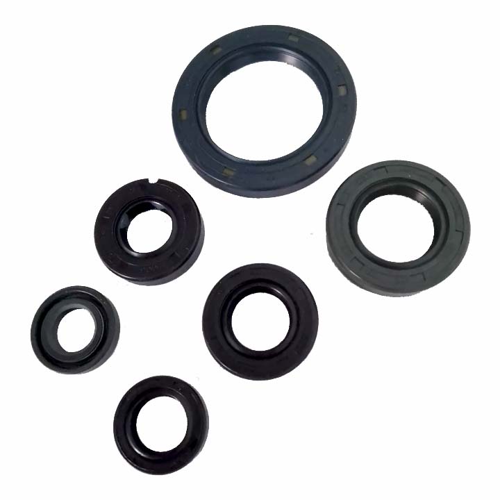 CONJUNTO COMPLETO DE RETENES DE MOTOR RUNGA 250