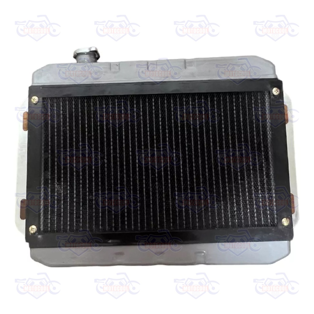 RADIADOR COMPLETO RUNGA 250