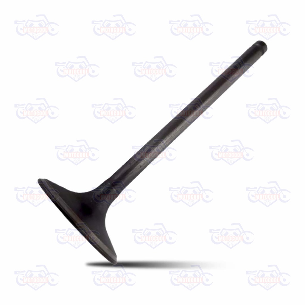 VALVULA DE ADMISION SX6