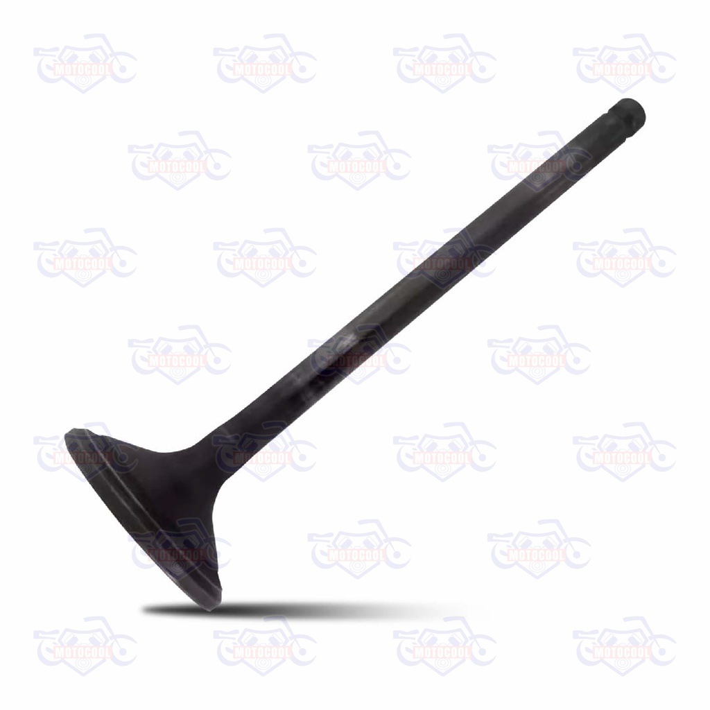 VALVULA DE ESCAPE SX6