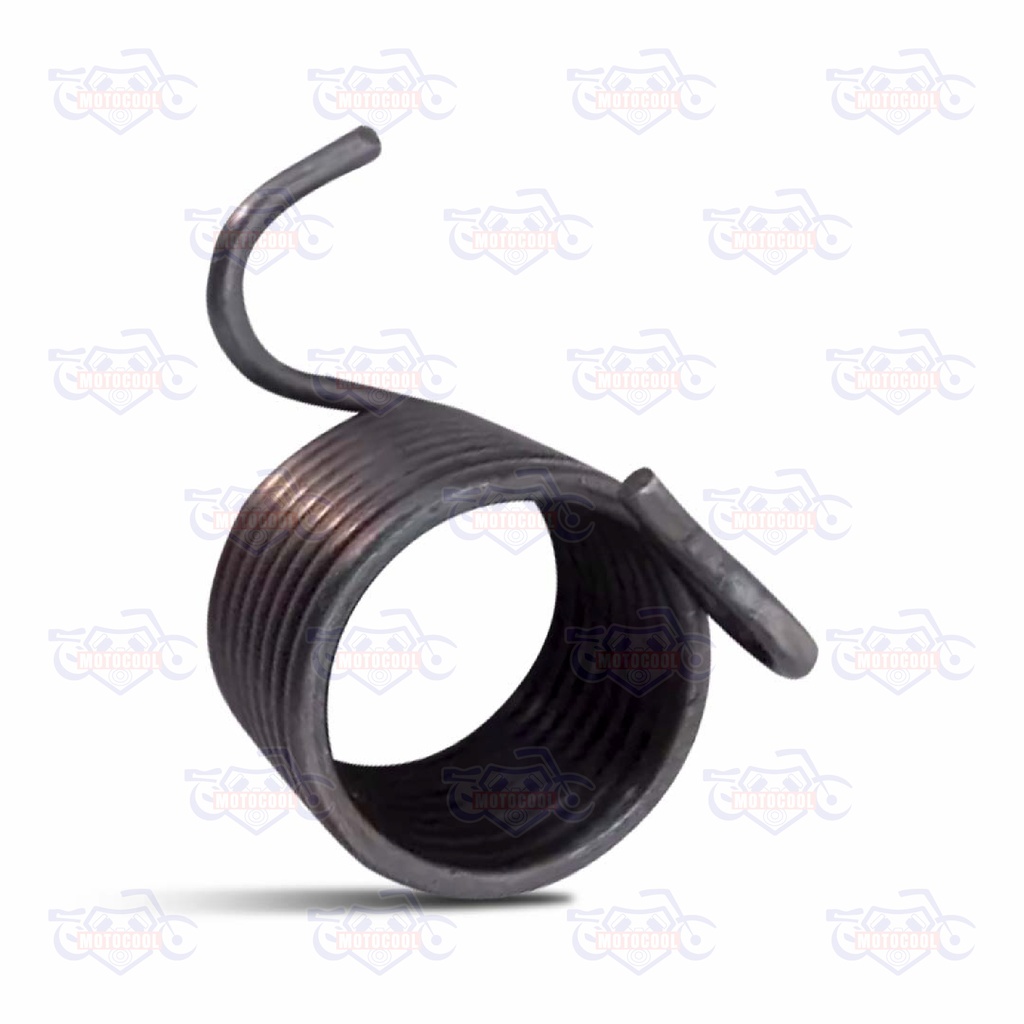 RESORTE PALANCA SELECTOR DE CAMBIOS SX6