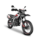 ZMOTO SX6250