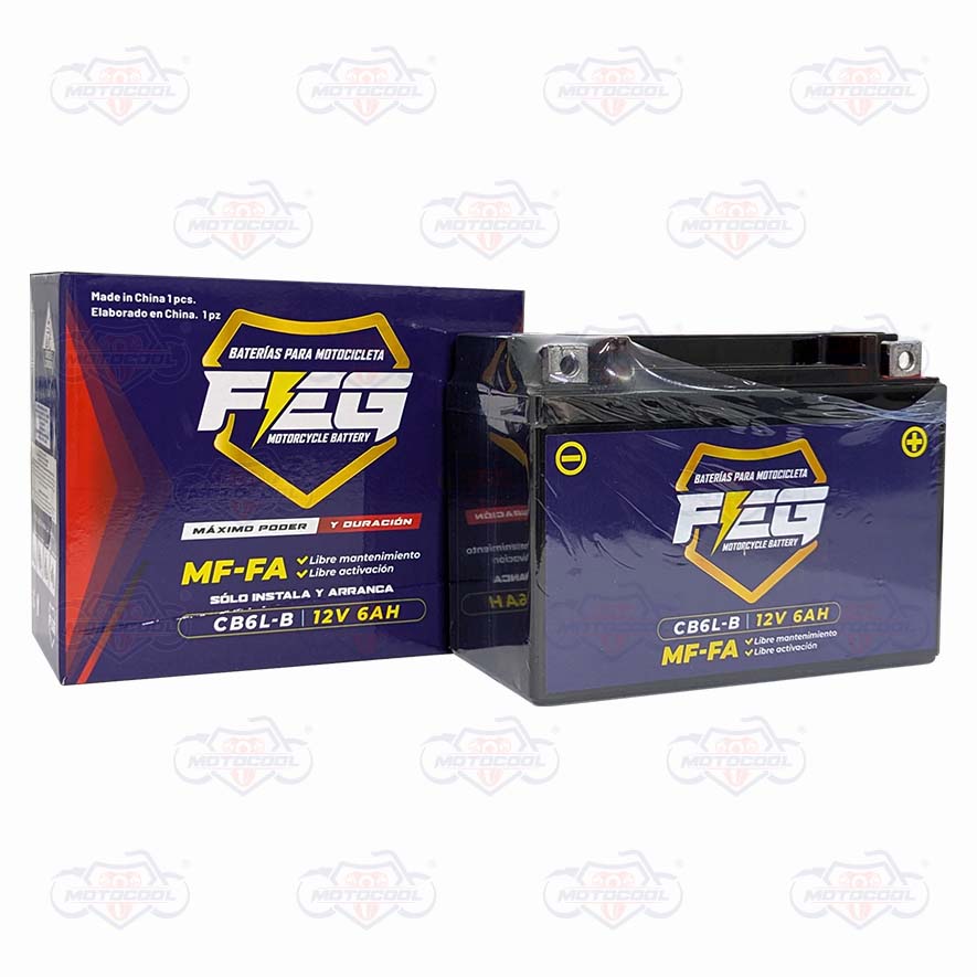 BATERIA FEG 12V6AH HOMOLOGACION CRX150/300PRO/SPORT/CRX300/RD3