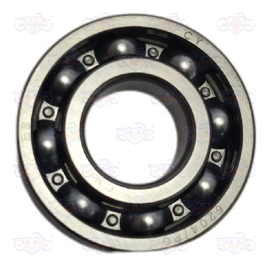 [E06010086] BALERO RADIAL BOLA 6204/P6