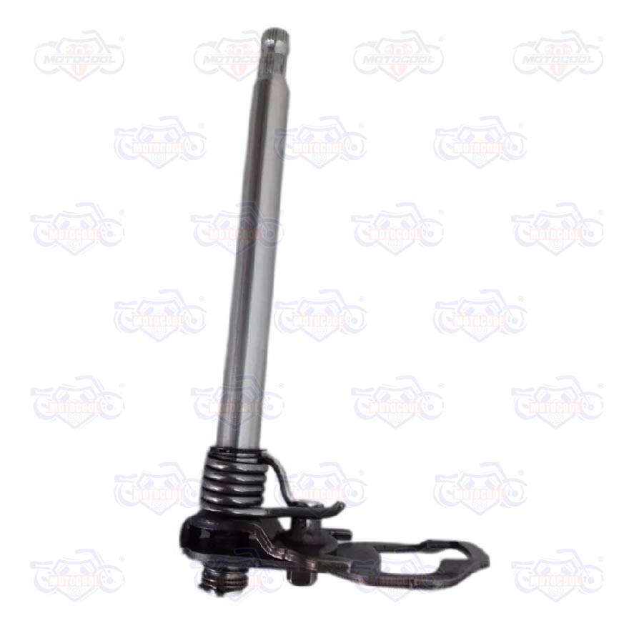 [E14010069] CONJ SELECT CAMBIOS