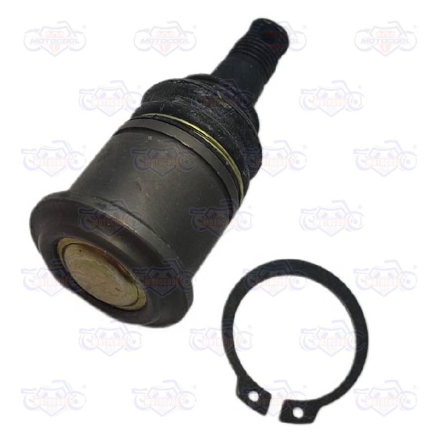 [F01050006] ROTULA BRAZO INF