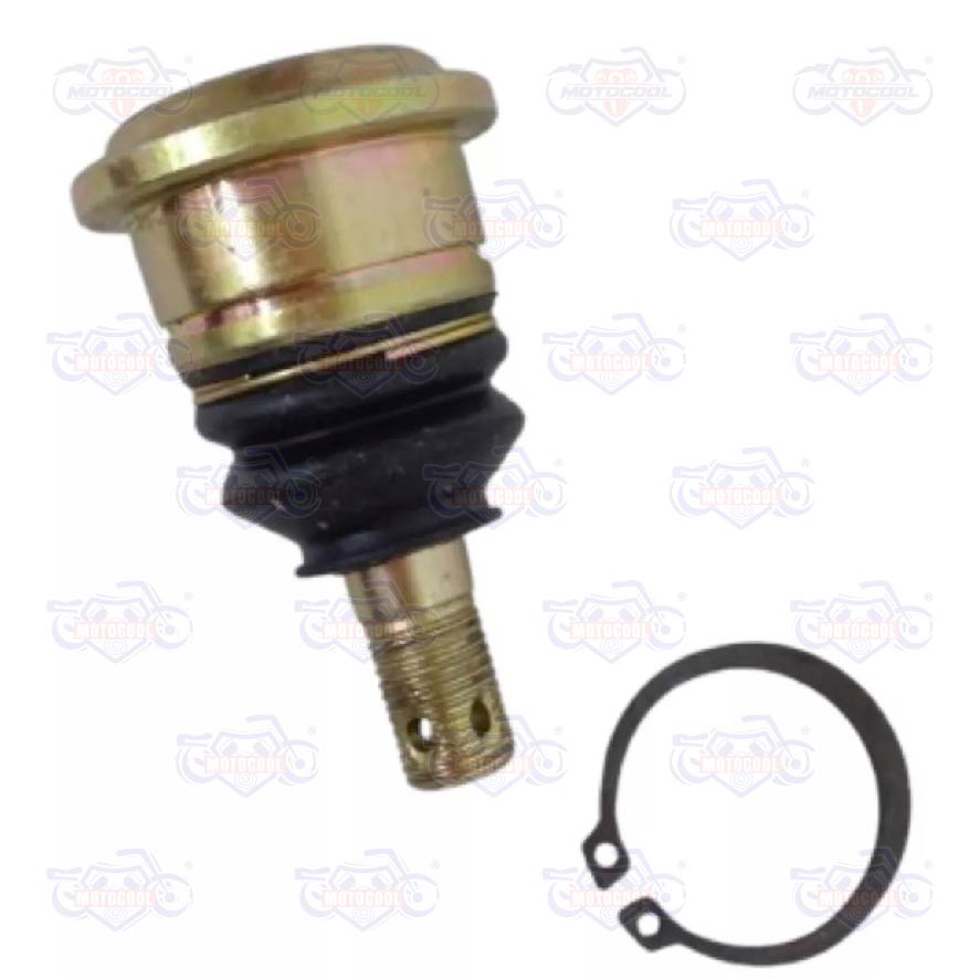 ROTULA HORQUILLA INFERIOR