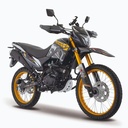 ITALIKA DM300