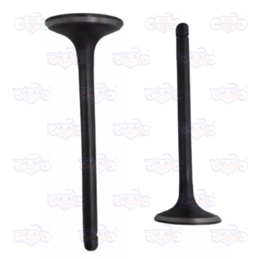 [170MM-E02-08] VÁLVULA DE ADMISIÓN RUNGA 250