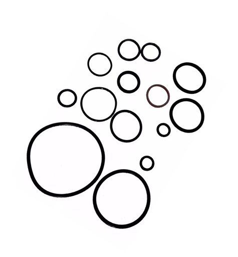 [170MM-E12-01] CONJUNTO COMP O-RINGS DE MOTOR RUNGA250