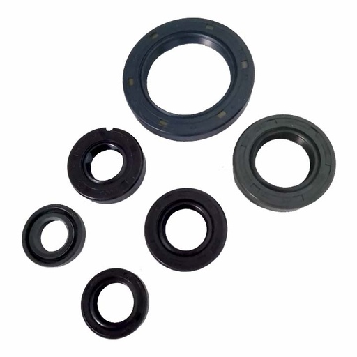 [170MM-E14-01] CONJUNTO COMPLETO DE RETENES DE MOTOR RUNGA250