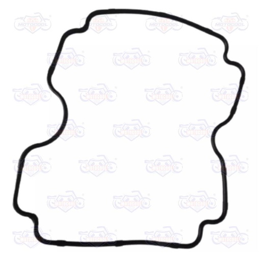 [176MN-E01-06] JUNTA DE TAPA DE CABEZA RUNGA320Z