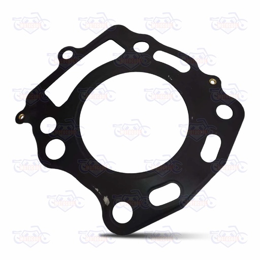 [176MN-E01-22] JUNTA CABEZA DE CILINDRO RUNGA320Z