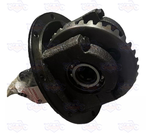 [RUNGA 250-F13-20] ENGRANES SATELITALES DIFERENCIAL RUNGA250