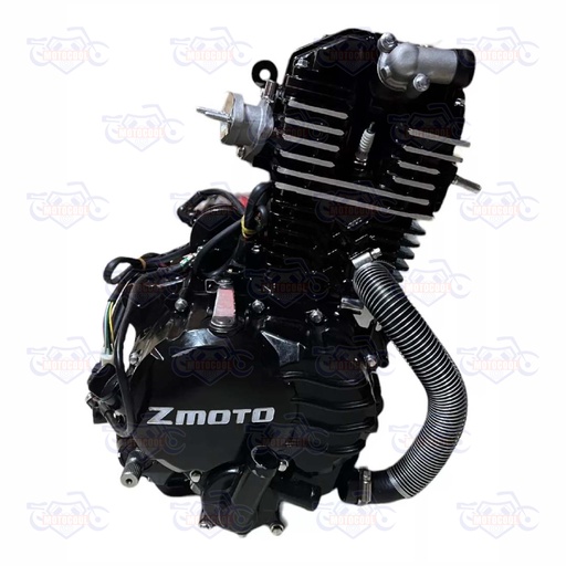 [RUNGA 250F-17-01] MOTOR COMPLETO RUNGA 250
