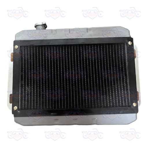 [RUNGA 250-F17-04] RADIADOR COMPLETO RUNGA 250