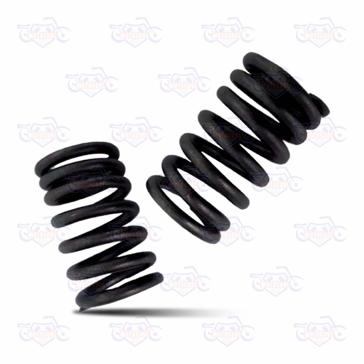 [SX6250-E02-09] RESORTE EXTERIOR DE VALVULA SX6