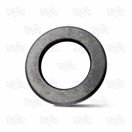 [SX6250-E10-09] RONDANA DE SEGURIDAD SX6