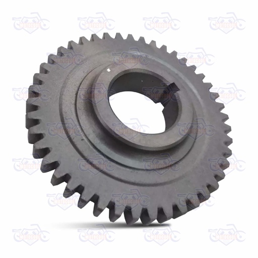 [SX6250-E10-13] ENGRANE DISCO DE FUERZA 44T SX6