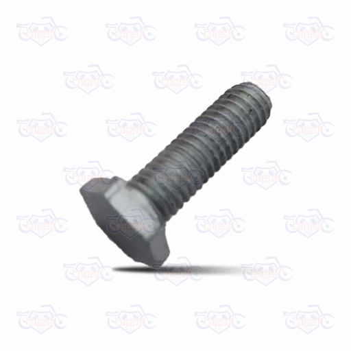 [SX6250-E12-06] TORNILLO HEXAGONAL M6X20X2.5 SX6