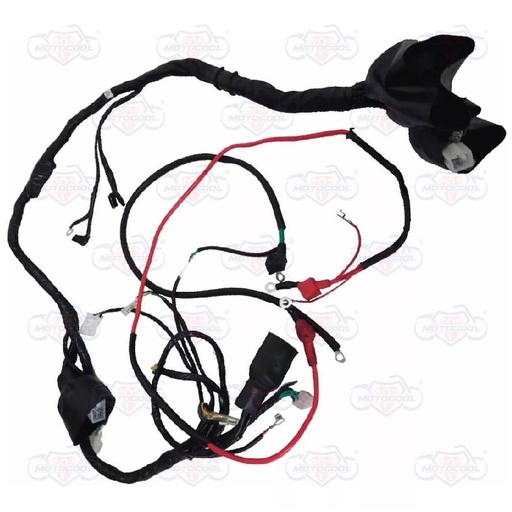 [SX6250-F01-01] ARNES ELECTRICO PRINCIPAL SX6250