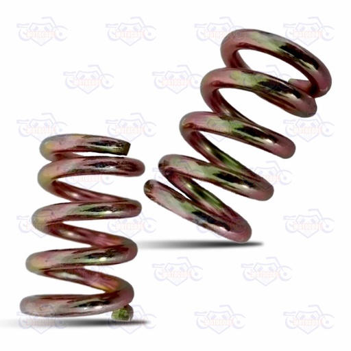 [ZMAX200-F05-12] RESORTE DE TORNILLO DE SILENCIADOR ZMAX200