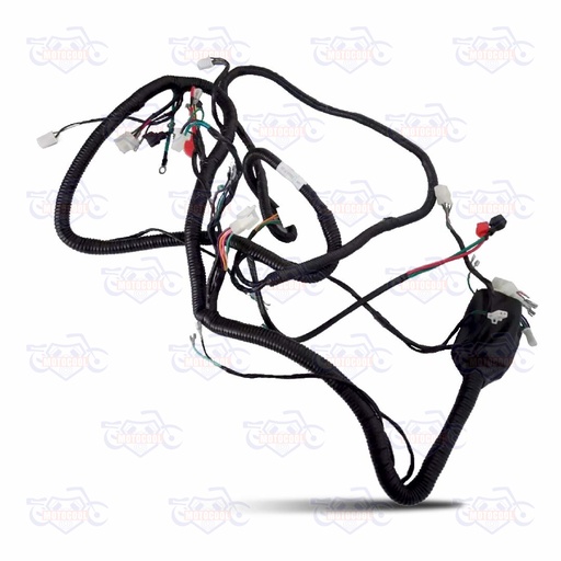 [ZMAX200-F24-07] ARNES COMPLETO ZMAX200