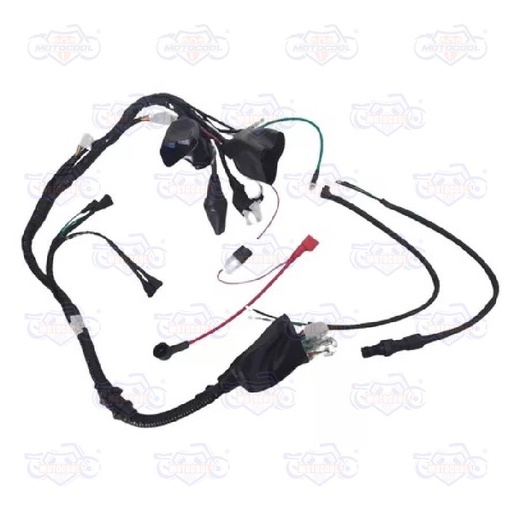 [F06050025] ARNES PRINCIPAL