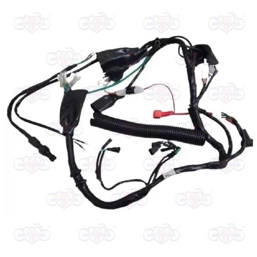 [F06050045] ARNES PRINCIPAL