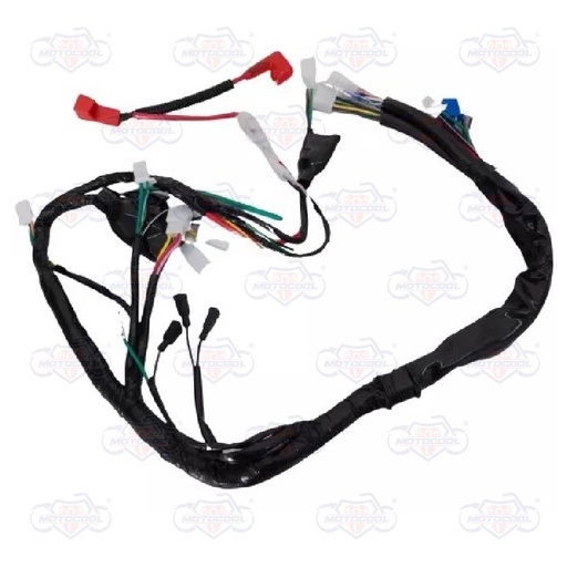 [F06050100] ARNES PRINCIPAL