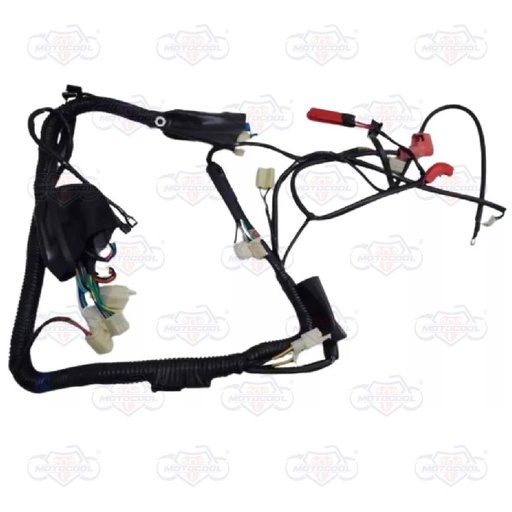 [F06050106] ARNES PRINCIPAL