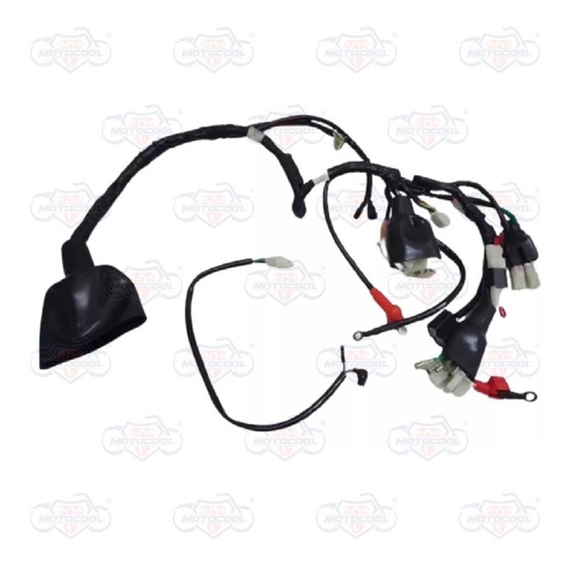 [F06050154] ARNES PRINCIPAL