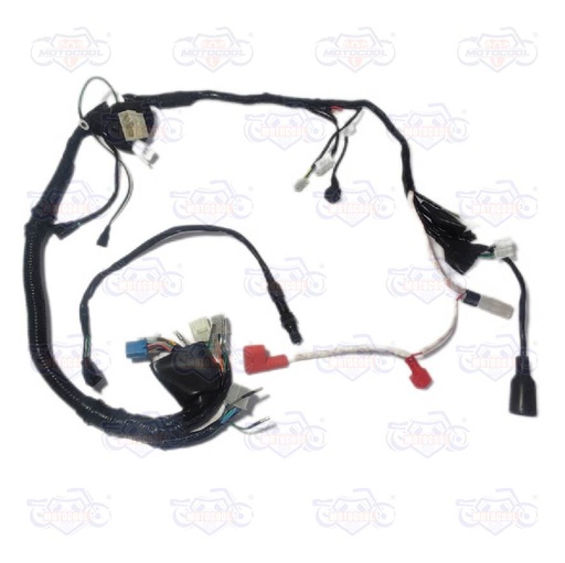 [F06050156] ARNES PRINCIPAL