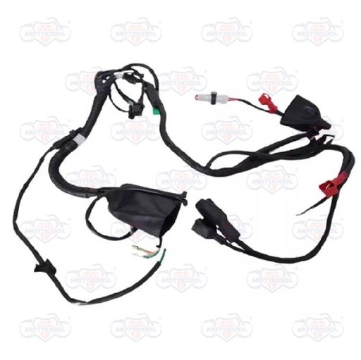 [F06050169] ARNES PRINCIPAL