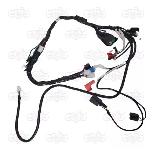 [F06050182] ARNES PRINCIPAL