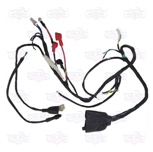 [F06050189] ARNES PRINCIPAL