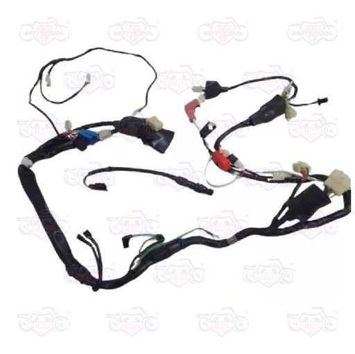 [F06050102] ARNÉS PRINCIPAL